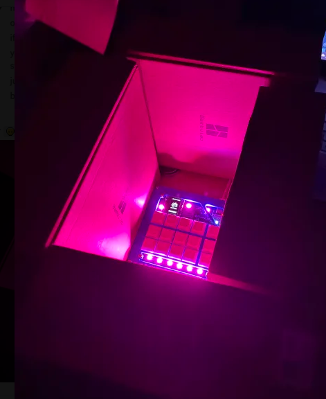 lights!